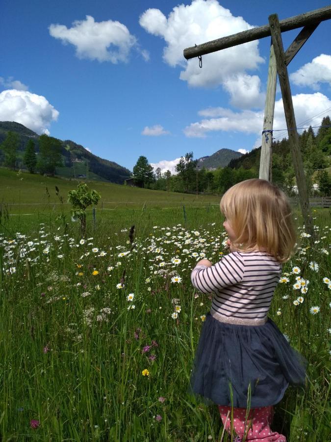 Blonbauer Villa Schladming Bagian luar foto