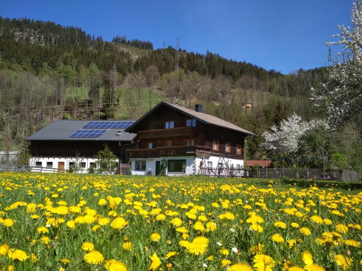 Blonbauer Villa Schladming Bagian luar foto
