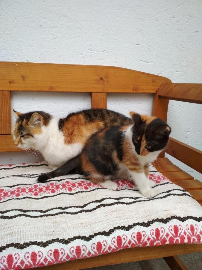 Blonbauer Villa Schladming Bagian luar foto