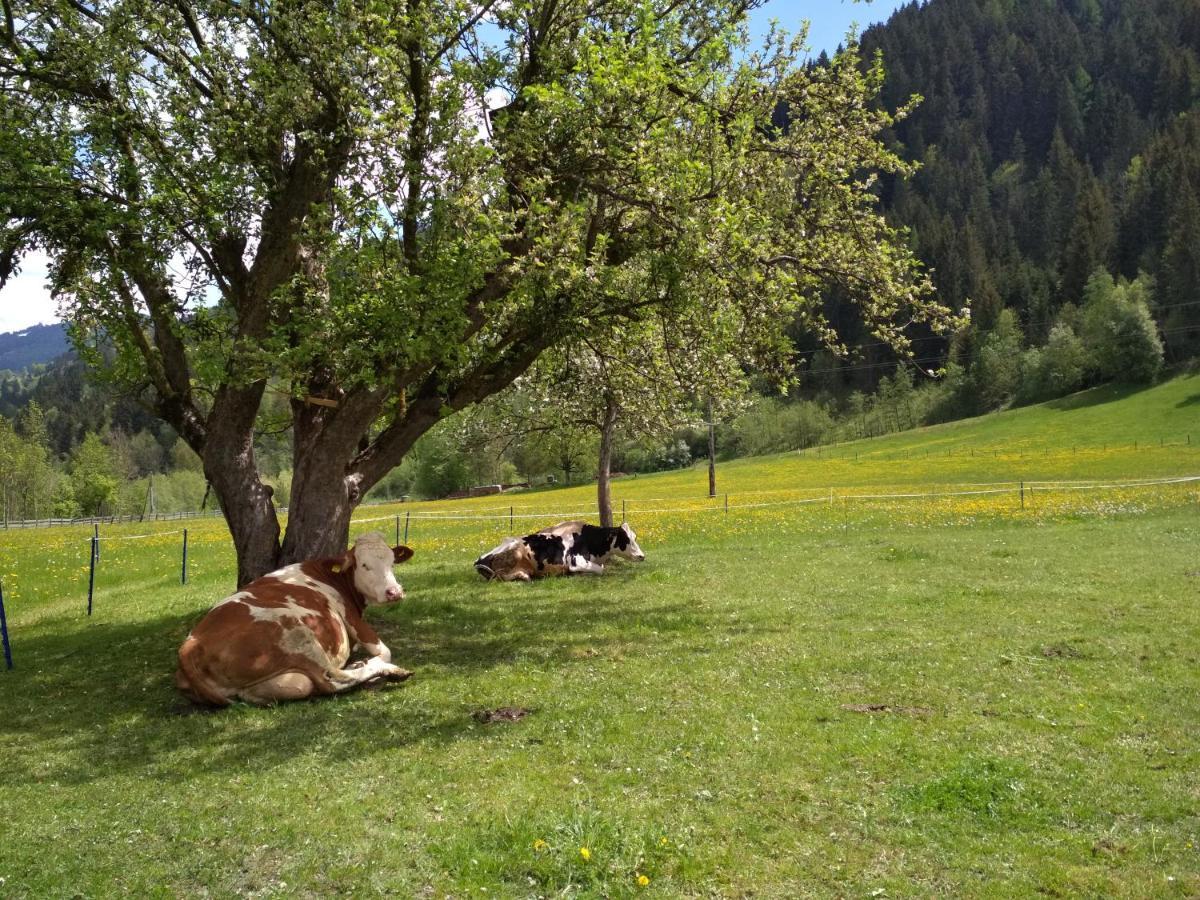 Blonbauer Villa Schladming Bagian luar foto