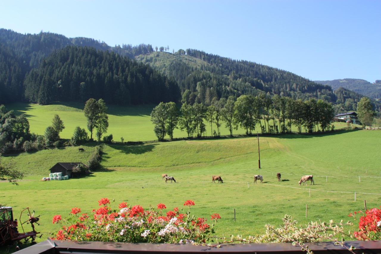 Blonbauer Villa Schladming Bagian luar foto