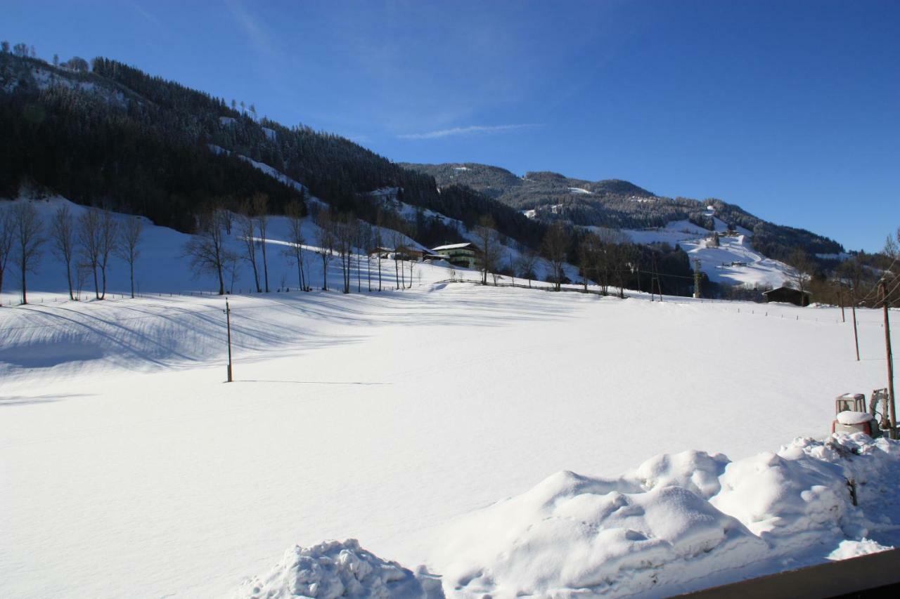 Blonbauer Villa Schladming Bagian luar foto