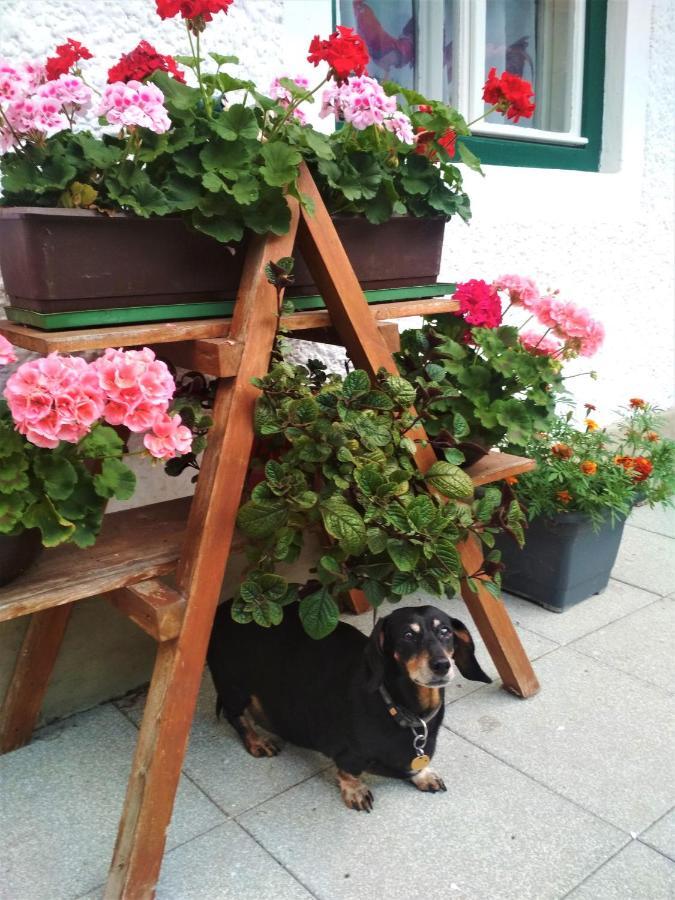 Blonbauer Villa Schladming Bagian luar foto